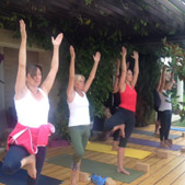 yoga villa audrey