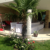 yoga villa audrey